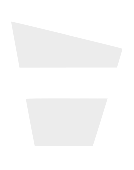 Logo footer